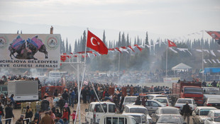 Aydın'da deve güreşleri