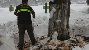 Bartın'da yaban hayvanları için doğaya yem bırakıldı