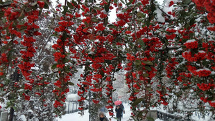 Bingöl'de kar tatili uzatıldı