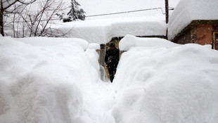 Bitlis'te ev ve arabalar kara gömüldü