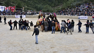 Bodrum'da deve güreşi festivali