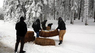Bolu'da yabani hayvanlar için doğaya yem bırakıldı