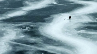 Kocaelinde fuar alanındaki gölet buz tuttu!