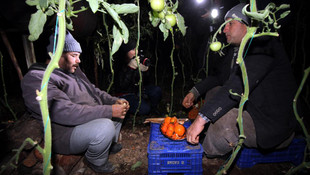 Çiftçilerden zirai don nöbeti