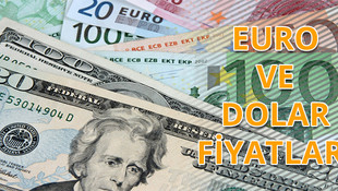 Dolar ve euro fiyatları (19 Ocak 2016)