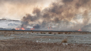 Erzincan Ekşisu Sazlık Alanı'nda yangın