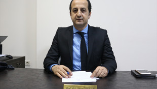 Hatay'da iskeleye vuran olu balina yavrusu