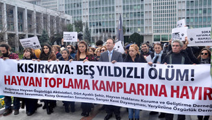 Hayvanseverlerden barinak protestosu