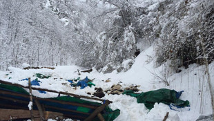 Kar nedeniyle ahır çöktü, 16 keçi telef oldu
