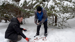 Kara kışta yaban hayatı unutulmadı