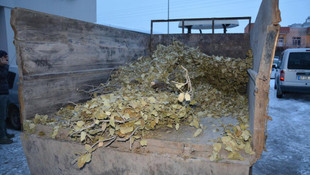 Mardin'deki terör operasyonu