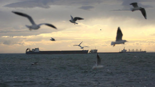 Marmara Denizi'nde ulaşıma lodos engeli