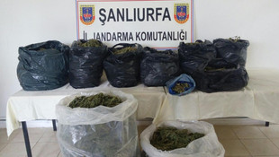 Şanlıurfa'da uyuşturucu operasyonu
