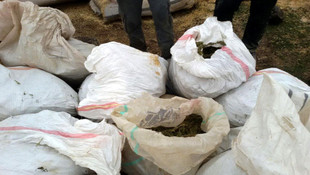 Şanlıurfa'da uyuşturucu operasyonu