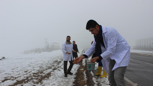 Soğuk havada sokak hayvanları unutulmadı