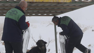 Sokak hayvanlarını unutmadılar
