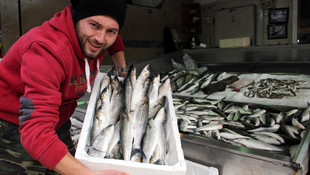 Tezgahlarda kefal bereketi yasaniyor