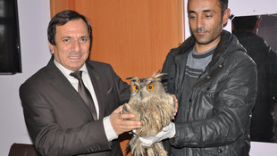 Tunceli'de uçamayan puhu koruma altına alındı