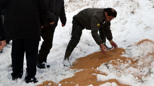 Yalova'da yaban hayvanları için doğaya yem bırakıldı