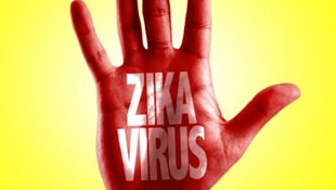 Rusyada ilk kez Zika virüsüne rastlandı