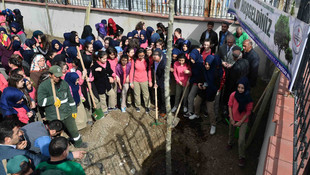 2016 Çınar Yılı projesi