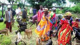 Burundi Anayasa Mahkemesi 15 muhalifin milletvekilliğini iptal etti
