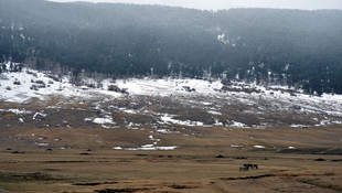 Doğu'da kar yağışı ve bahar havası bir arada