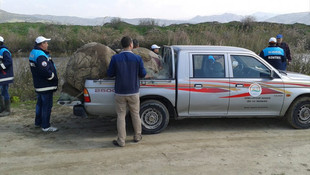 Aydın'da kaçak avcılıkla mücadele