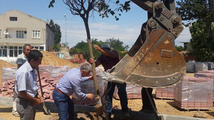 Bildirmeden ağaç kesmeye 160 lira ceza