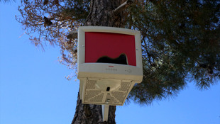 Bilgisayar monitörleri kuş yuvası oldu