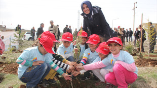 Bingöl'de 830 bin fidan toprakla buluşturuluyor