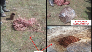 Bitlis'te terör örgütüne darbe