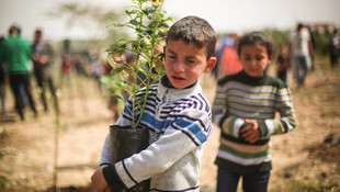 Gazzeli çocuklar İsrail'in bıraktığı enkaza çiçek dikti