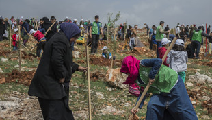 İHH'dan yetimler için hatıra ormanı