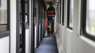 Jandarmadan Kurtalan Ekspresi'nde arama