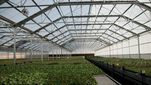 Nesli tehlikede olan flora türleri için yeni laboratuvar