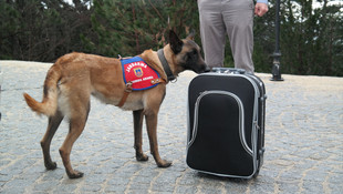 Uludağ Ekonomi Zirvesine doğru