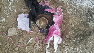 Van'da terör operasyonu