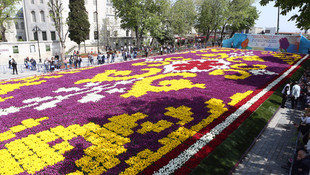 11. İstanbul Lale Festivali