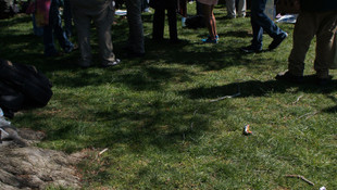 ABD'de Demokrasi Baharı gösterileri