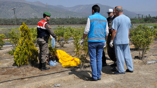 Aydın'da trafik kazası: 2 ölü, 1 yaralı