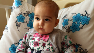 Bebek Nehir'in hayata tutunması ilik nakline bağlı