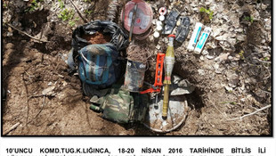 Bitlis'te terör operasyonu