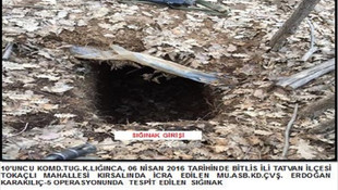 Bitlis'teki terör operasyonu