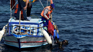 Bodrumda deniz ve kıyı temizliği etkinliği
