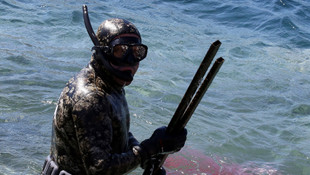 Bodrum'da deniz ve kıyı temizliği yapıldı