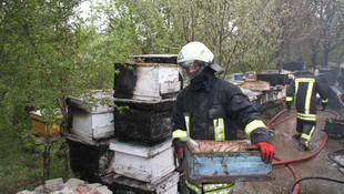 Çankırı'da 30 kovan arı yangında telef oldu