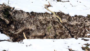 Maçka milli parkında çığ tehlikesi yaşandı