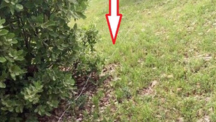 Diyarbakır'da terör operasyonu