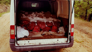 Edirne'de kaçak midye operasyonu